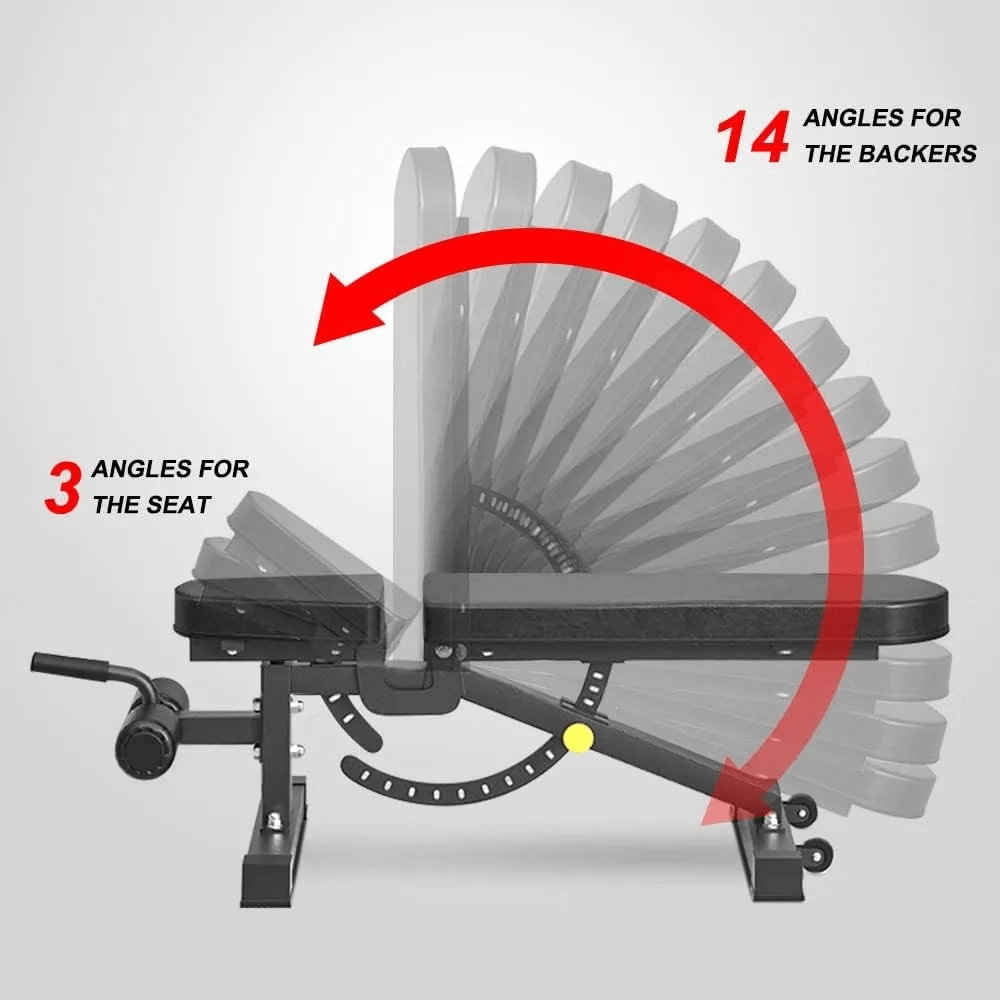 Adjustable Weight Bench for Dumbbell Training - SF3447 showing 14 backrest angles and 3 seat positions for versatile workouts